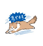 もふもふ長毛ネコくん（個別スタンプ：13）