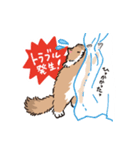 もふもふ長毛ネコくん（個別スタンプ：14）