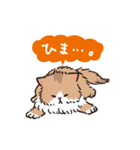もふもふ長毛ネコくん（個別スタンプ：17）