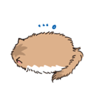 もふもふ長毛ネコくん（個別スタンプ：19）