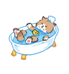 もふもふ長毛ネコくん（個別スタンプ：27）