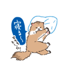 もふもふ長毛ネコくん（個別スタンプ：28）