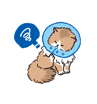 もふもふ長毛ネコくん（個別スタンプ：31）