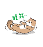 もふもふ長毛ネコくん（個別スタンプ：38）