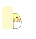 ぴよたま（個別スタンプ：39）