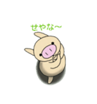 私の名前は、とんぶー（個別スタンプ：39）