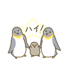ペンギンの家族（個別スタンプ：1）