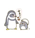 ペンギンの家族（個別スタンプ：25）