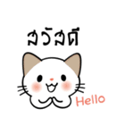 パクチー猫【タイ語】（個別スタンプ：1）