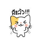 パクチー猫【タイ語】（個別スタンプ：6）