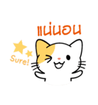 パクチー猫【タイ語】（個別スタンプ：27）