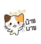 パクチー猫【タイ語】（個別スタンプ：40）