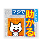 にゃんこスポーツ！（個別スタンプ：21）