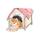 リアル？柴犬（個別スタンプ：3）