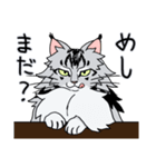 クールな猫スタンプ（個別スタンプ：14）