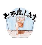 筆と色鉛筆のねこ（個別スタンプ：5）