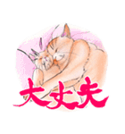 筆と色鉛筆のねこ（個別スタンプ：36）