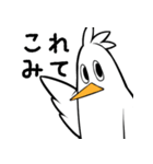 ノトリ（個別スタンプ：30）