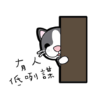 HUANGMANI（個別スタンプ：23）