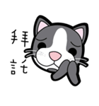 HUANGMANI（個別スタンプ：38）