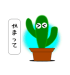 サボテンの日常会話（個別スタンプ：9）