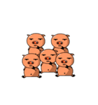 ブーちゃん（個別スタンプ：37）