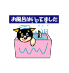 黒柴テリーちゃん（個別スタンプ：10）