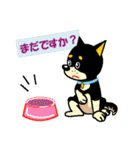 黒柴テリーちゃん（個別スタンプ：12）