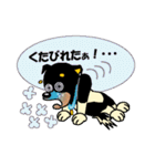黒柴テリーちゃん（個別スタンプ：15）