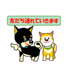 黒柴テリーちゃん（個別スタンプ：16）