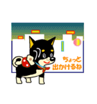 黒柴テリーちゃん（個別スタンプ：17）