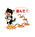 黒柴テリーちゃん（個別スタンプ：24）