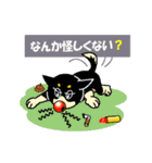 黒柴テリーちゃん（個別スタンプ：25）