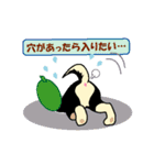 黒柴テリーちゃん（個別スタンプ：26）