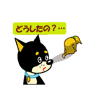 黒柴テリーちゃん（個別スタンプ：30）