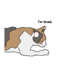 猫のスタンプ（個別スタンプ：2）