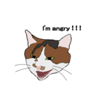 猫のスタンプ（個別スタンプ：7）