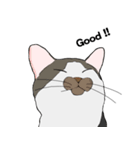 猫のスタンプ（個別スタンプ：9）