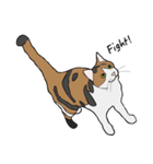 猫のスタンプ（個別スタンプ：19）