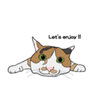 猫のスタンプ（個別スタンプ：25）