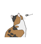 猫のスタンプ（個別スタンプ：31）