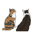 猫のスタンプ（個別スタンプ：38）