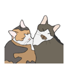 猫のスタンプ（個別スタンプ：39）