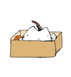 CatFrog（個別スタンプ：21）