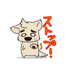 まゆげ犬とメガネぬこ 2（個別スタンプ：11）