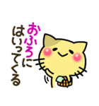 カラフルねこスタンプ（個別スタンプ：11）