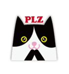 Cats！！（個別スタンプ：6）