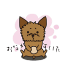 ヨーキーな高橋さん(仮)（個別スタンプ：5）