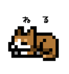 ドット絵スタンプ 柴犬（個別スタンプ：7）