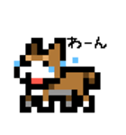 ドット絵スタンプ 柴犬（個別スタンプ：10）